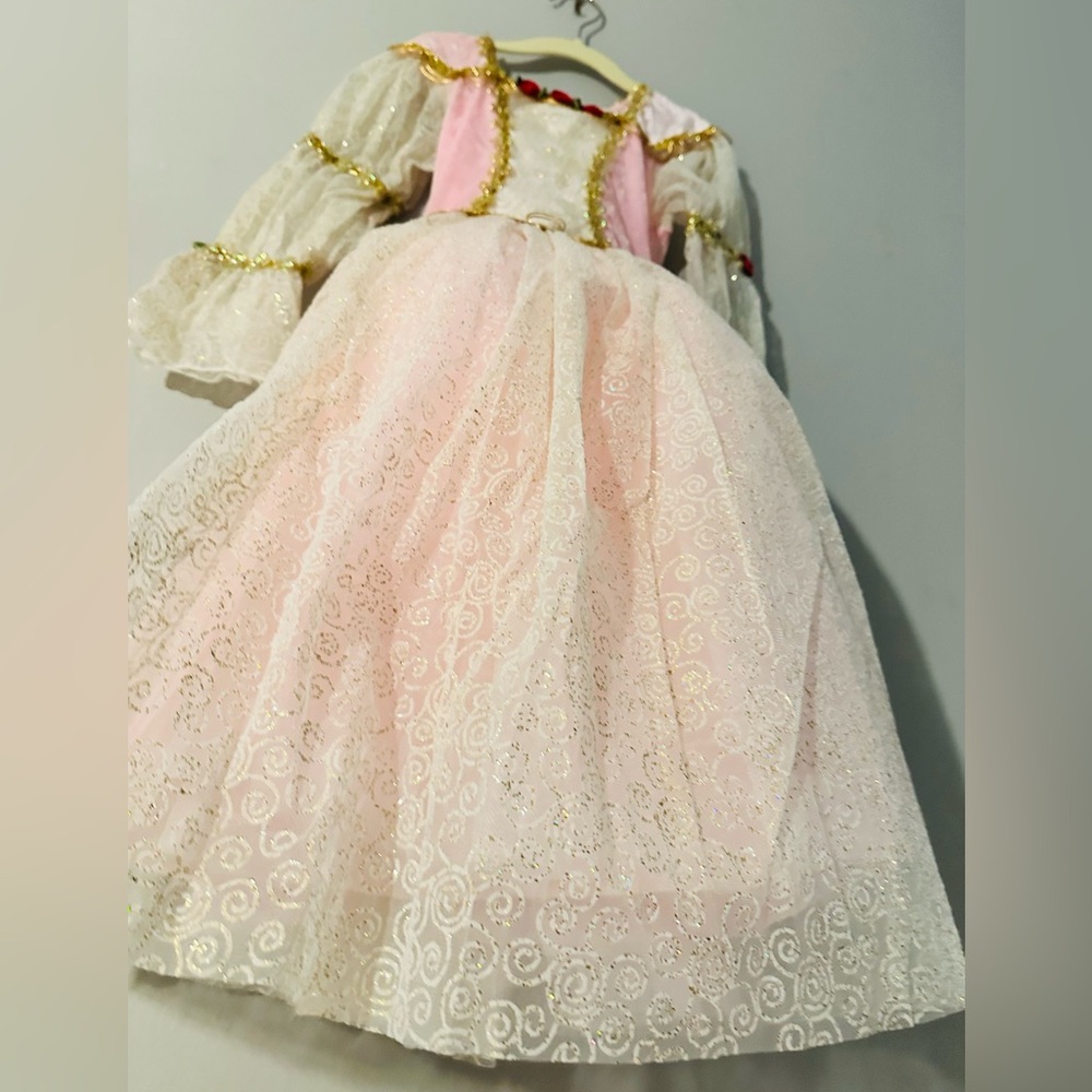 Girls Pink Princess Costume Dress with Gold Trim, Red Floral - Picture 6 of 9